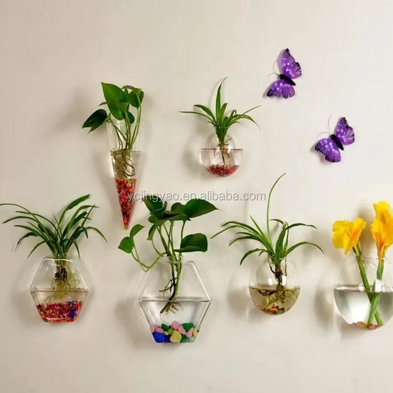 

Wholesale perfect quality handmade clear borosilicate cone glass plant terrarium for indoor wall decoration