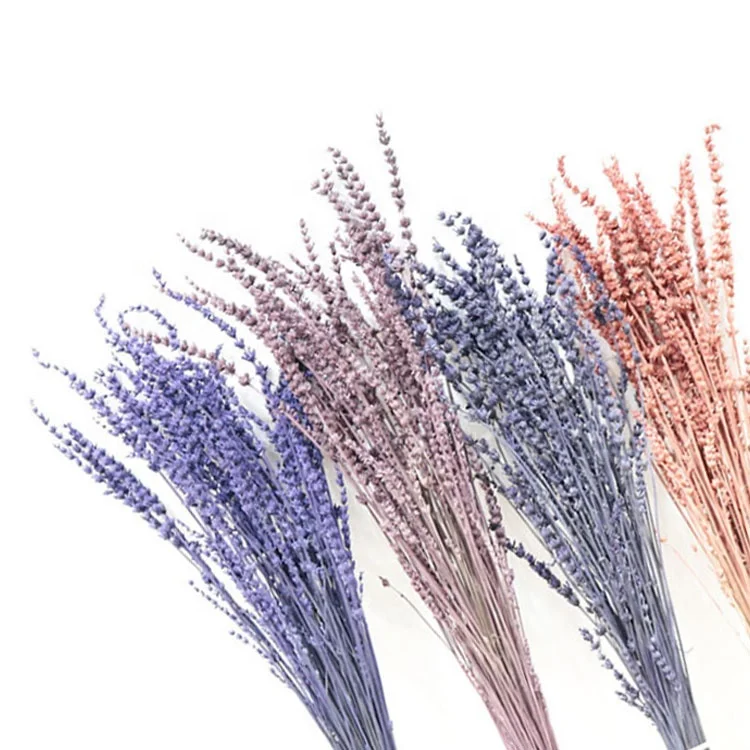 

Amazon Most Popular Wedding Souvenir Gift Customized Stabilized Lavender Dried Flower