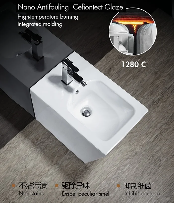 bidet toilet (8).jpg