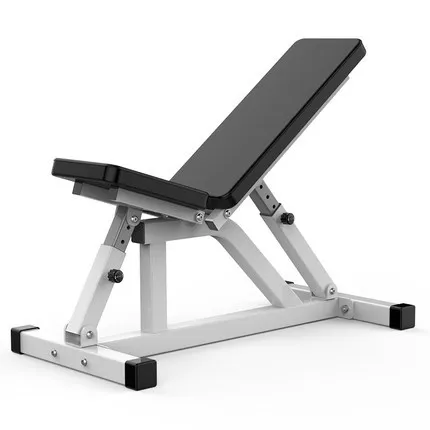 

Adjustable Dumbbell Sit Up Weight Bench for home use