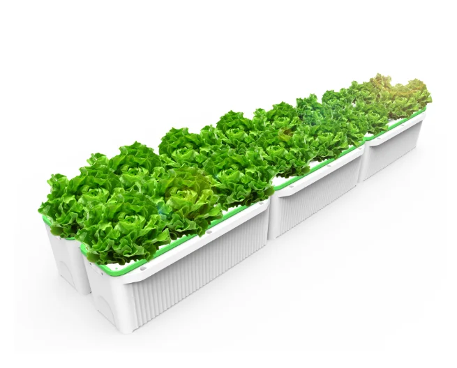 

Decorative Indoor Lettuces smart grow indoor vegetable garden kit greenhouse NFT plants grow, White