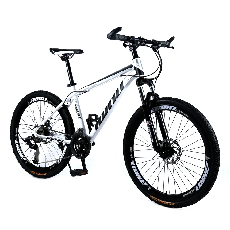 Mountain bike (10)
