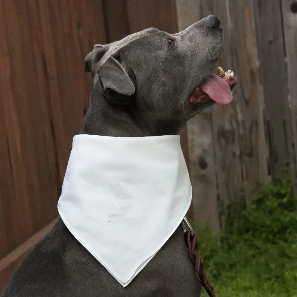 white dog bandana