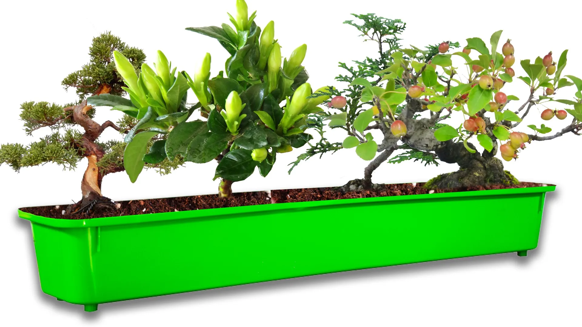 5 厘米阳台花盆长方形花盆草本花园栏杆花盆出售 - buy 长方形植物