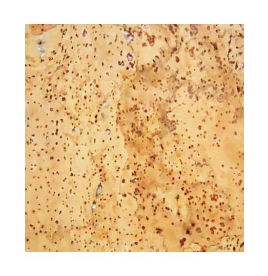 
MD047 tile 6.0mm thickness x 290mm width x 290mm length glue down cork floor tiles 