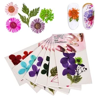 

9 colors mixed natural dry nail flowers wholesale 3d nail art decorations accessories dry flowers real dry flowers for nails art