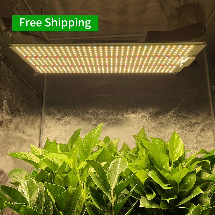 

Free Shipping Dropship Full Spectrum Indoor Plant LM301H LM301B 200W 240W 260W LED Grow Light