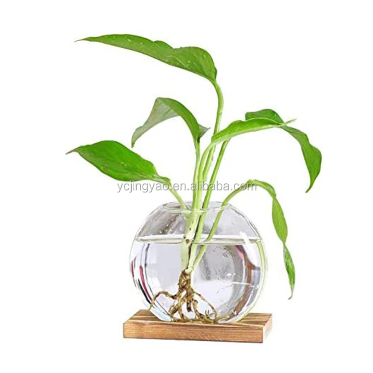 

Clear Glass Round Cake Holder in Wooden Stand Flower Vase Pots Propagation Station for Hydroponic Plants Home Garden Decor