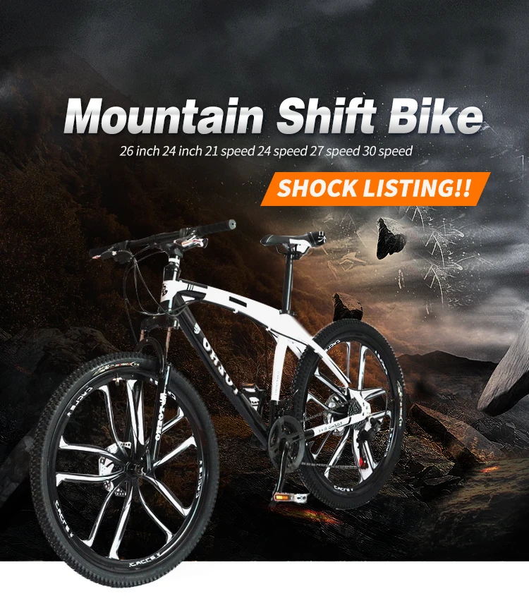 2 stroke engine for mountain bike