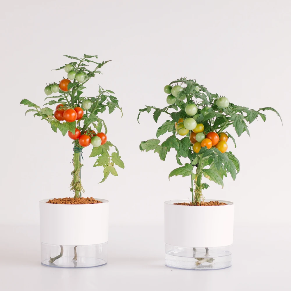 

Smart Plastic Flower pot White Self Watering plant Pot indoor&outdoor planter pot