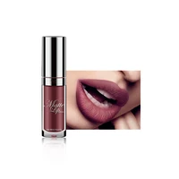 

Waterproof Nude Lipstick Set Private Label Matte Lipstick Lipgloss