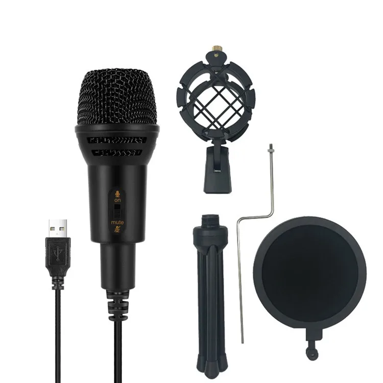 

Live singing via wired USB microphone Desktop PC microphone Capacitive microphone
