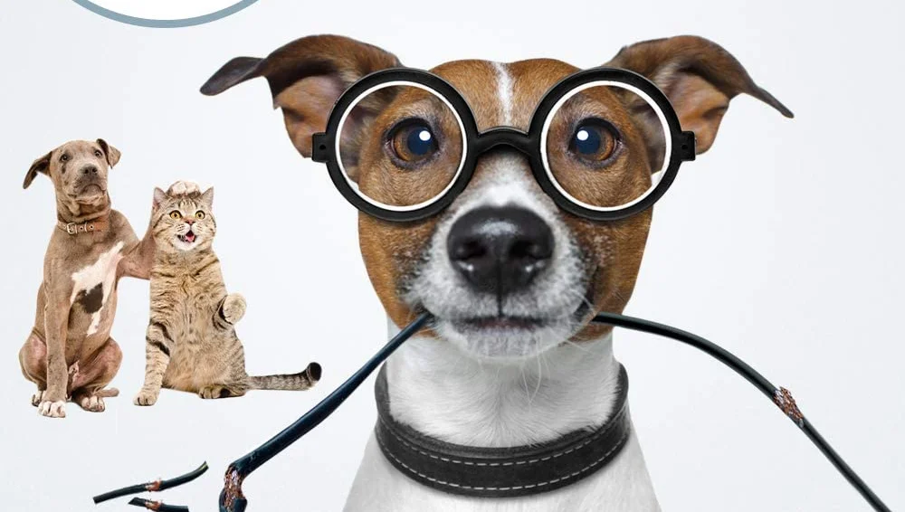 Durable Pet Electrical Cable Cover Protector Braided Sleeving For Wire