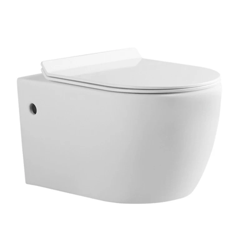 New design WC wall mounted toilet lid with slow-down seat ring