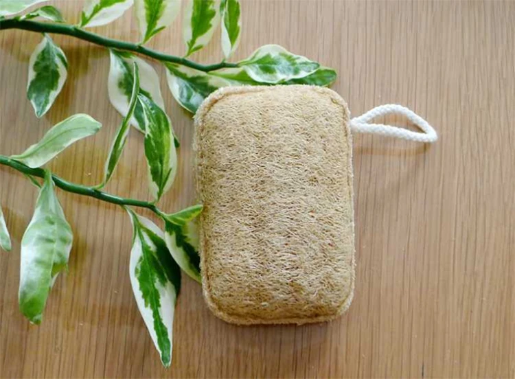 Loofah Dish Sponge06.jpg