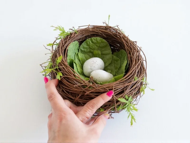 Finished eco-friendly nest craft example