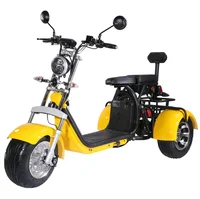 

EEC&COC New Arrival China supply 1500w Scooter Citycoco Electric 3 Wheel Electric Scooter From Manufacturer Directly