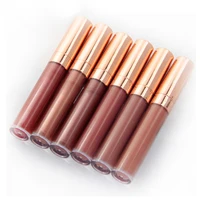 

Customized Cosmetics 6 Colors Nude Lipgloss Private Label Matte Natural Shiny Lip Gloss