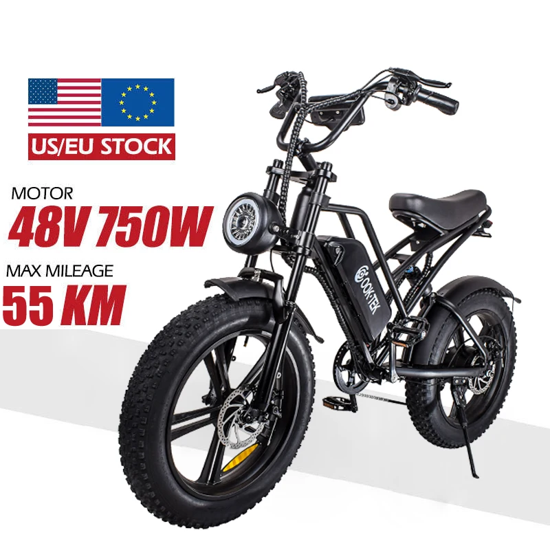 

2023 hot sale 48V 15AH Electric Bike E bike electric motorcycle bicycle with 20inch Fat Tire