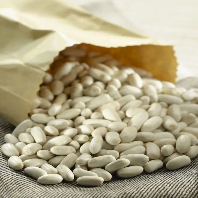 
Best Quality White Butter Beans 