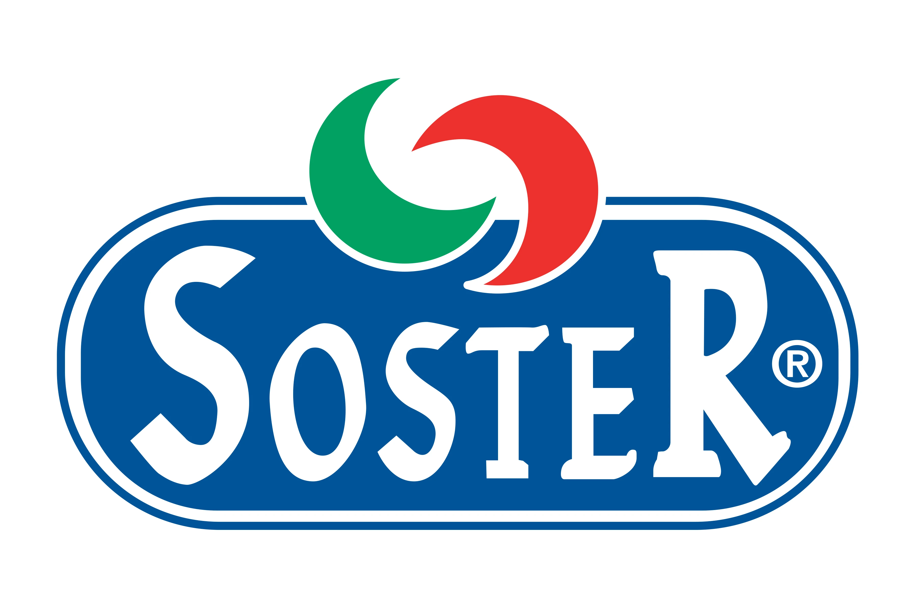 
Provolone cheese - lactose free cheese - organic food 