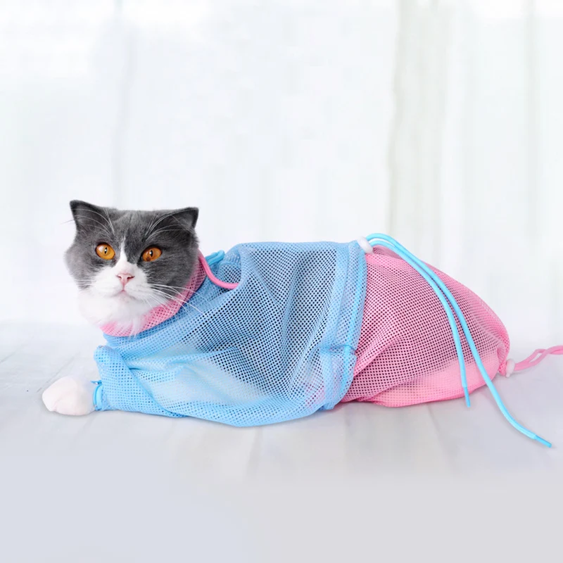 cat6.jpg