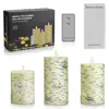 Silver birch electronic candle three-piece set simulation shake flame led remote control candle