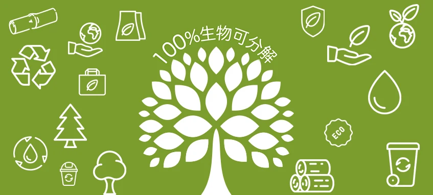 可生物降解的餐厅使用带盖的一次性甘蔗 bag渣托盘