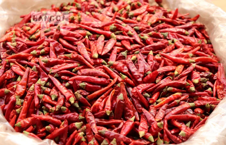 hq 热销传统晒干红辣椒中药材辣干红辣椒