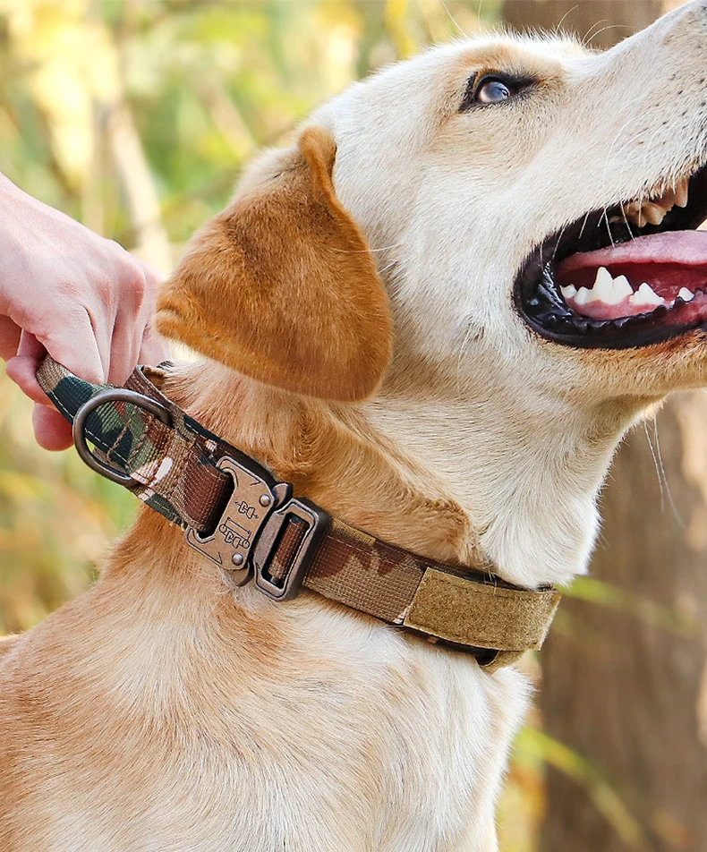 

Durable dog collar With Handle Nylon Dog Leash Adjustable Training Collar