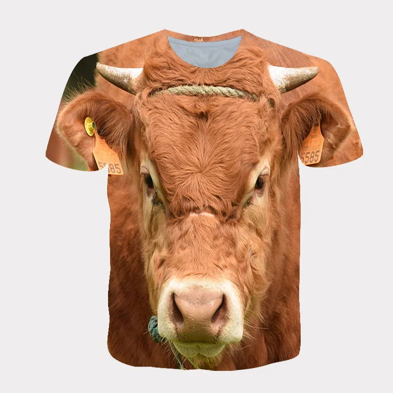 

Custom oem design sublimation printing men sports t shirts dry fit polyester shirt