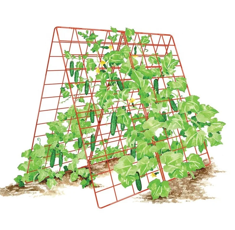 

34 x 48 Inches Foldable A Frame Cucumber Trellis, Green