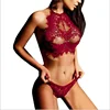 /product-detail/fashion-lace-bikini-women-sexy-swimsuit-underwear-sexy-lingerie-bra-and-panties-set-62358022142.html