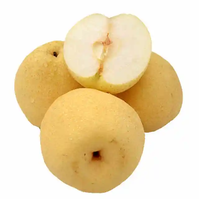 High Quality China Fresh Fruit Sweet Nutrition Pear Export Quality