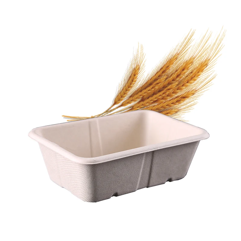 

Customized Logo Naturally Disposable and Compostable Bagasse Fiber Table Tray for Restaurant and School, Black, white, red, green or customized
