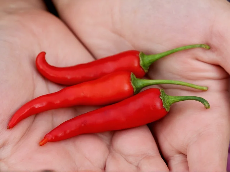 Small Red Chile: Varieties, Uses & Heat Levels Explained