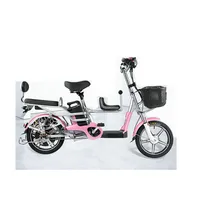 

The new Chinese-made family parent-child adult electric bicycle 48v350W
