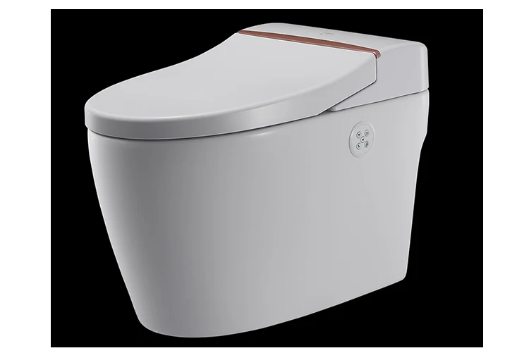 bathroom design automatic washing intelligent water toilet seat 2102