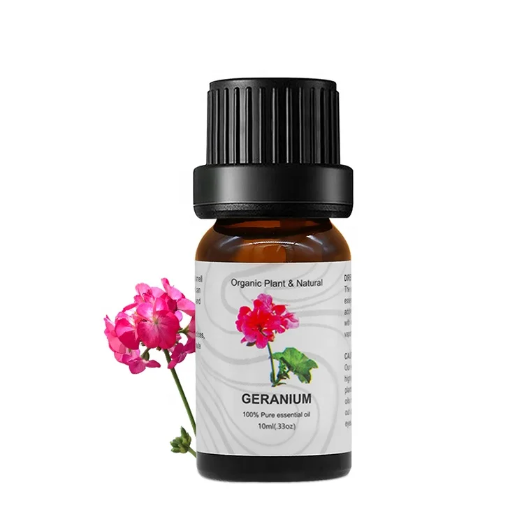 

Spot Steam Distillation Natural Geranium Essential Oil