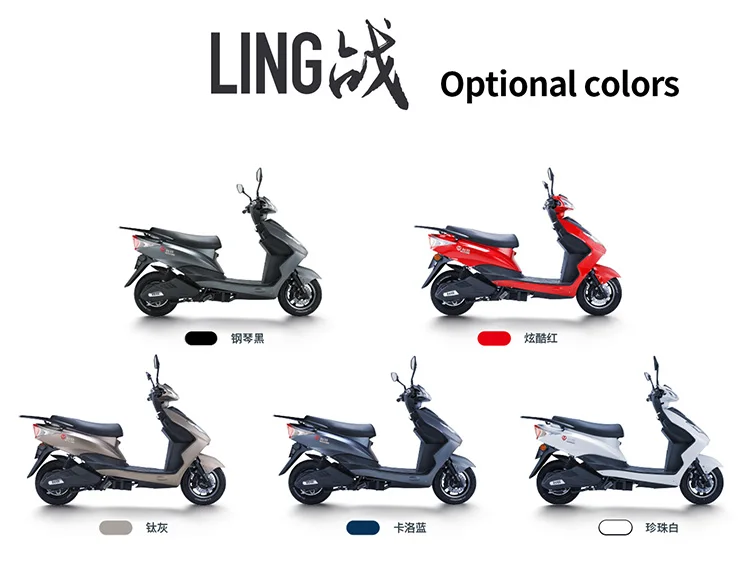 electric scooter for adult