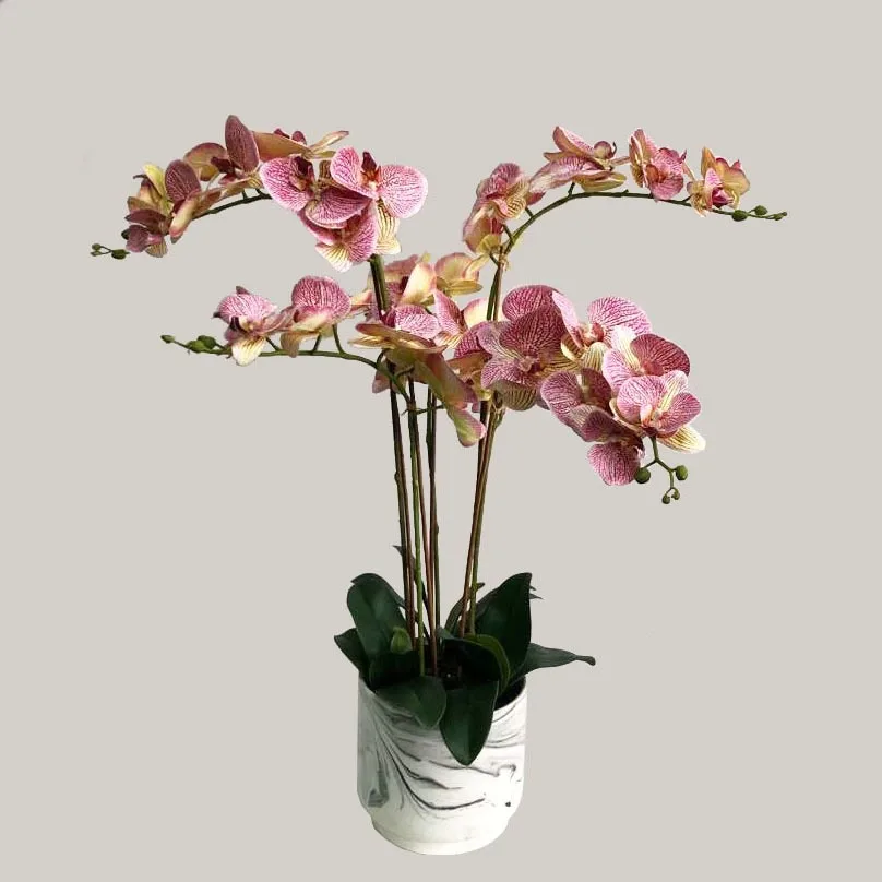 Orchid in ceramic pot P9966-80 US#19.3 MOQ 100PCS