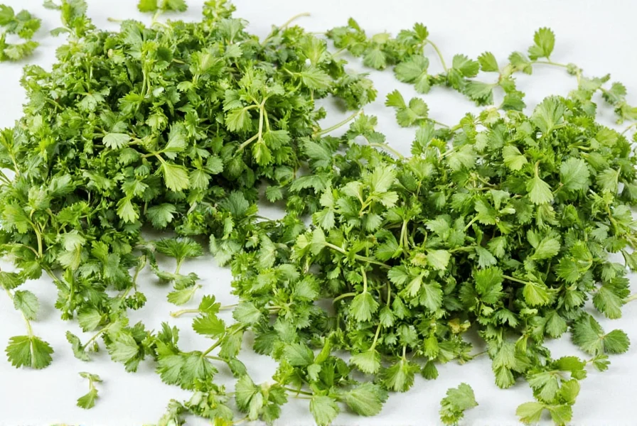 Parsley stored in jar in fridge