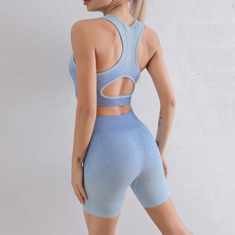 

Custom Yoga Sets Women Seamless Shorts High Waisted Sports Pants Outdoor Biker Leggings Women Sports Gym Set, Customized colors