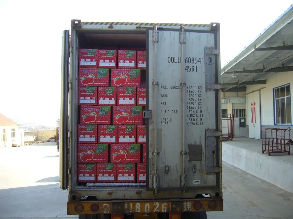 
Sell Shandong Produced Fresh Fuji Apples 