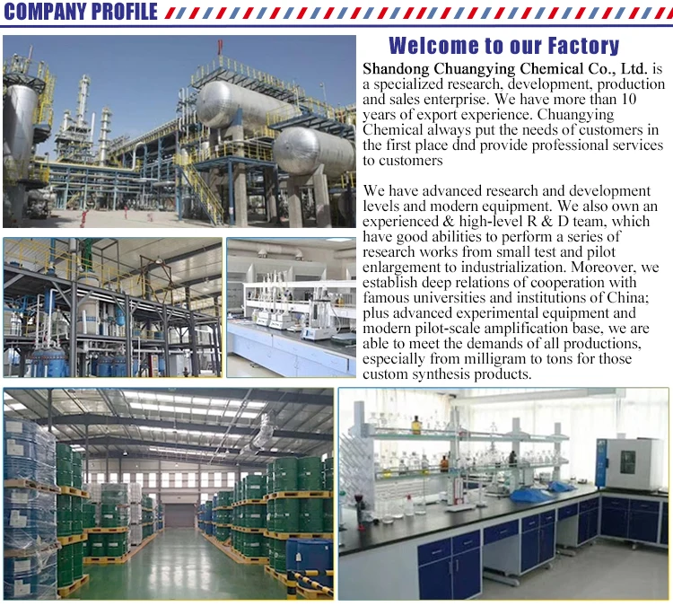 company profile20200804