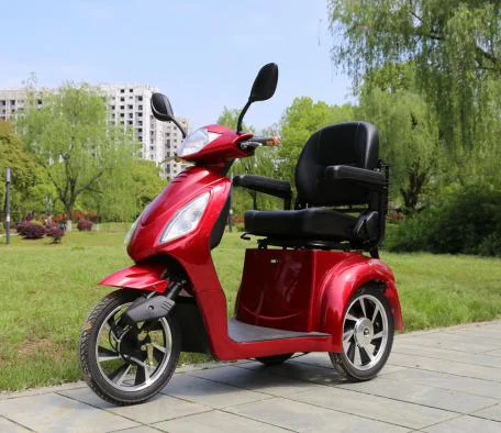 3 轮残疾电动车代步车