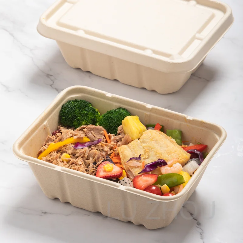 

compostable packaging vegetable containers sugarcane bagasse 225*174*76mm, Bleached and unbleached