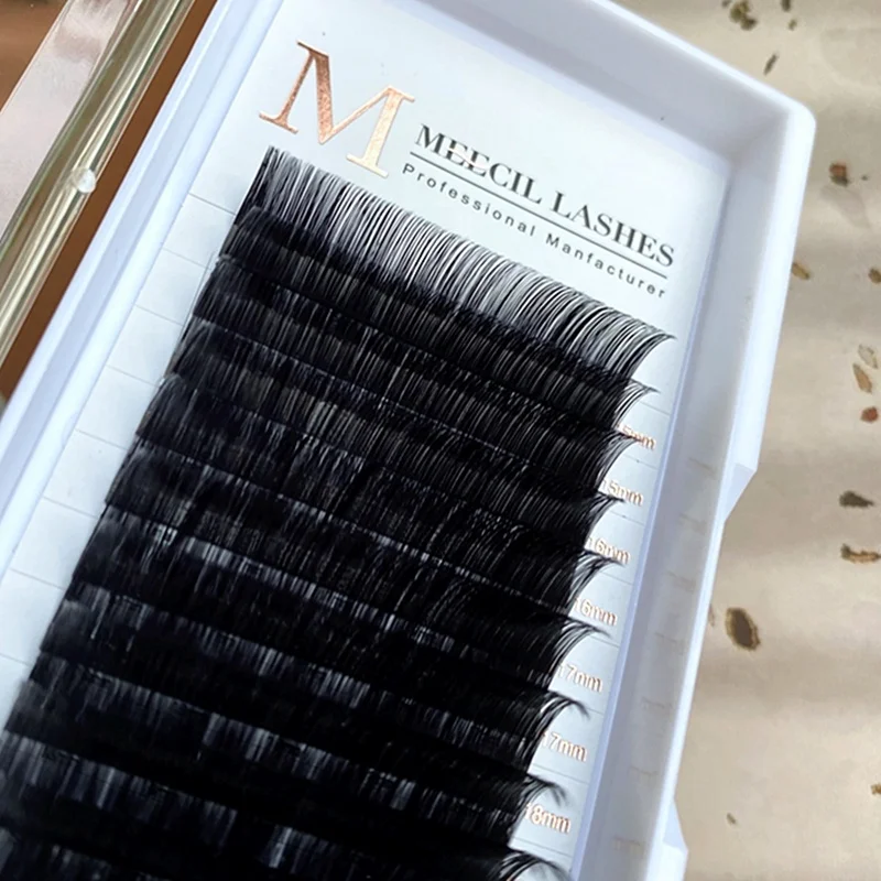 

Wholesale Customize Lash Tray Volume Eyelash Extensions Private Label Individual Eyelashes, Natural black