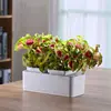 bonsai table