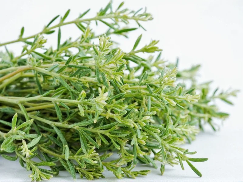 What Does Thyme Smell Like: Earthy, Herbal & Medicinal Notes